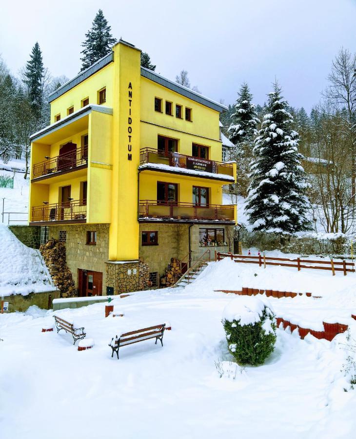 Willa Antidotum Krynica-Zdrój Extérieur photo